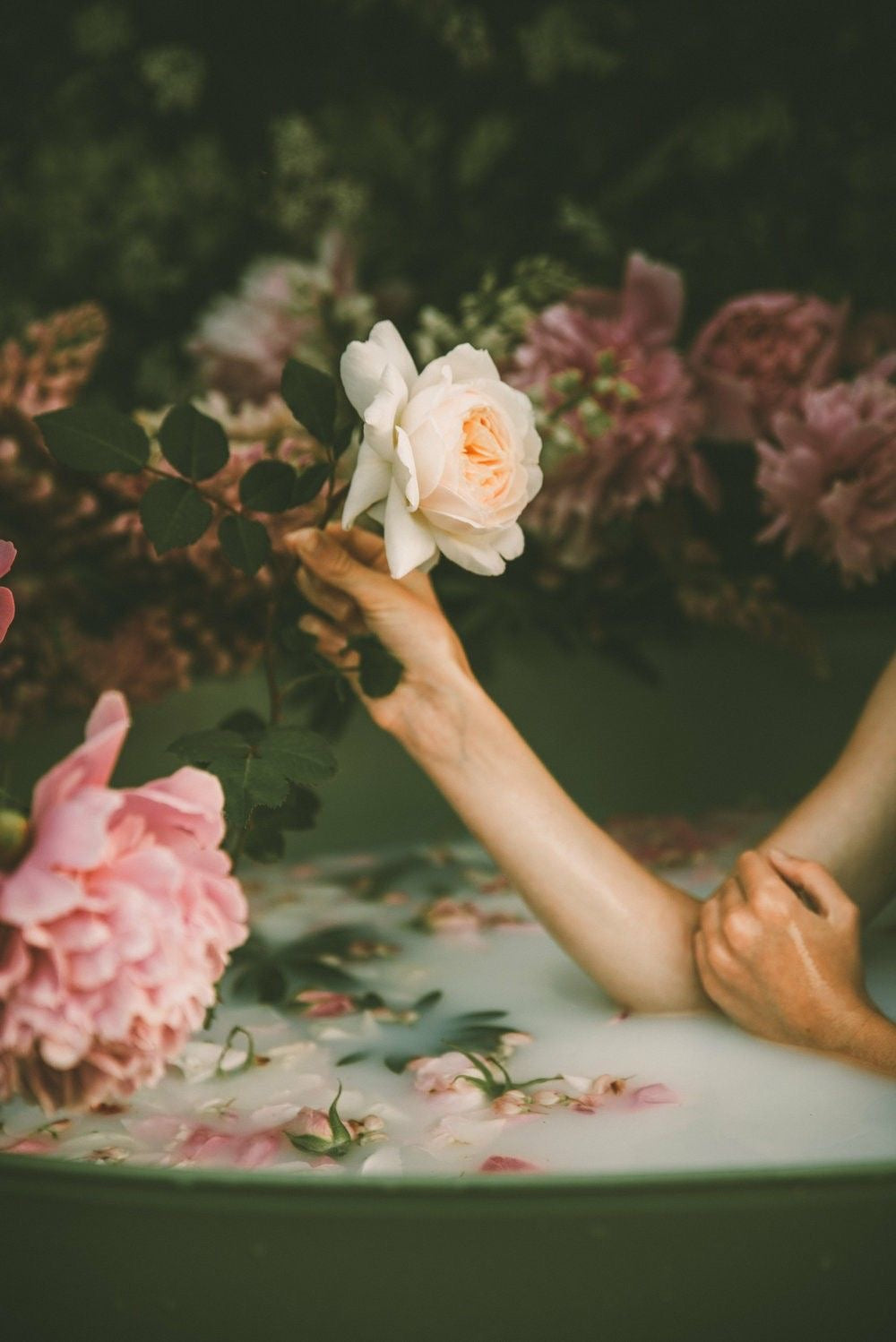 Feminine Scents